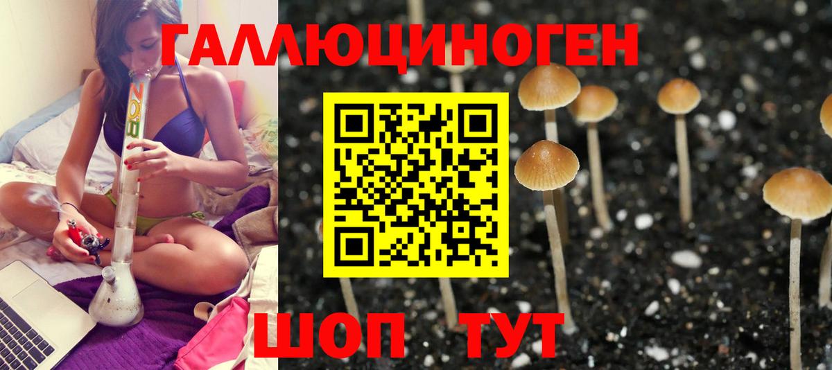 Коломна  Псилоцибиновые грибы GOLDEN TEACHER  Вход с VPN 